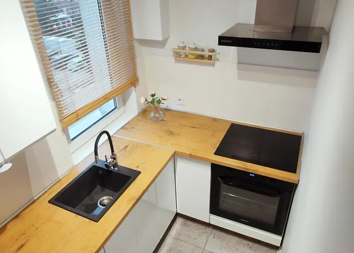 Apartament Centrum Blisko Zamku * מאלבורק